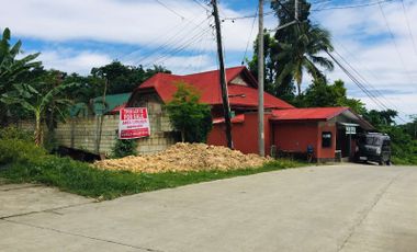 1,076 sq.m Lot for Sale in Bool District, Tagbilaran City, Bohol