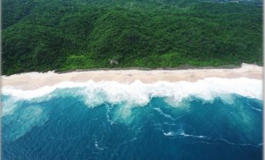 SE VENDEN  HECTÁREAS PLANAS Y EN RISCO, CON FRENTE DE PLAYA JUNTAS O INDIVIDUALES,EN HUATULCO. OAX.
