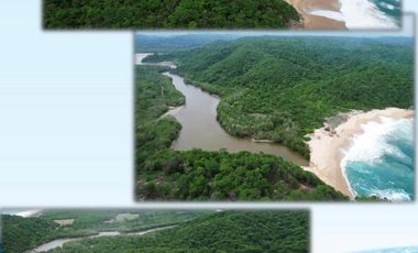 SE VENDEN  HECTÁREAS PLANAS Y EN RISCO, CON FRENTE DE PLAYA JUNTAS O INDIVIDUALES,EN HUATULCO. OAX.