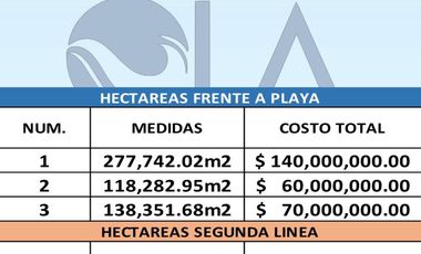 SE VENDEN  HECTÁREAS PLANAS Y EN RISCO, CON FRENTE DE PLAYA JUNTAS O INDIVIDUALES,EN HUATULCO. OAX.