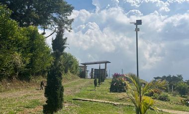 VENDO FINCA LA CUMBRE VALLE DEL CAUCA , PAVITAS.