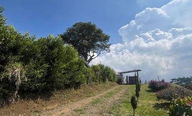 VENDO FINCA LA CUMBRE VALLE DEL CAUCA , PAVITAS.