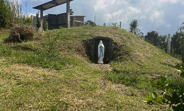 VENDO FINCA LA CUMBRE VALLE DEL CAUCA , PAVITAS.