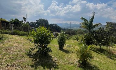 VENDO FINCA LA CUMBRE VALLE DEL CAUCA , PAVITAS.