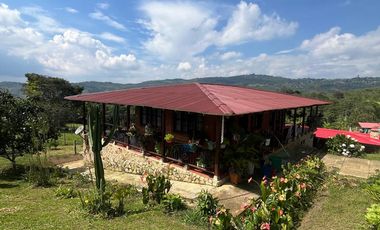 VENDO FINCA LA CUMBRE VALLE DEL CAUCA , PAVITAS.