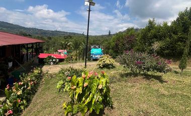 VENDO FINCA LA CUMBRE VALLE DEL CAUCA , PAVITAS.