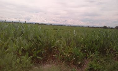 VENTA DE FINCA SAN MARTIN, CESAR