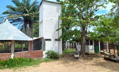 VENTA DE FINCA SAN MARTIN, CESAR