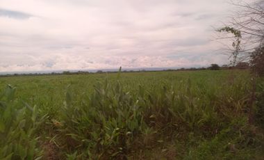 VENTA DE FINCA SAN MARTIN, CESAR