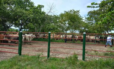 VENTA DE FINCA SAN MARTIN, CESAR