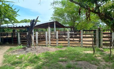 VENTA DE FINCA SAN MARTIN, CESAR