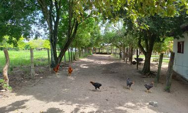 VENTA DE FINCA SAN MARTIN, CESAR