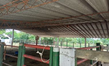 VENTA DE FINCA SAN MARTIN, CESAR