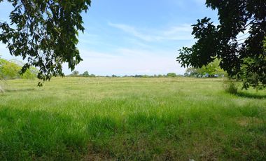 VENTA DE FINCA SAN MARTIN, CESAR