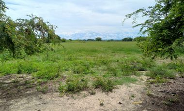 VENTA DE FINCA SAN MARTIN, CESAR