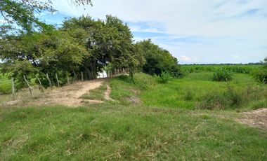 VENTA DE FINCA SAN MARTIN, CESAR