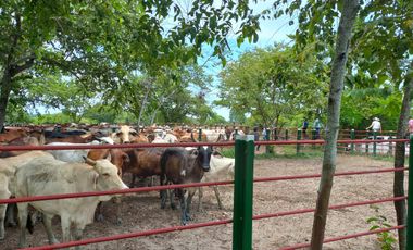 VENTA DE FINCA SAN MARTIN, CESAR