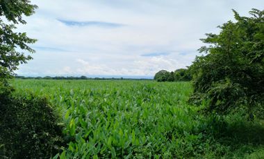 VENTA DE FINCA SAN MARTIN, CESAR