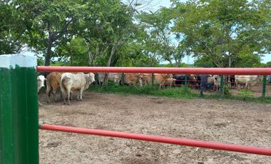 VENTA DE FINCA SAN MARTIN, CESAR