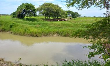 VENTA DE FINCA SAN MARTIN, CESAR