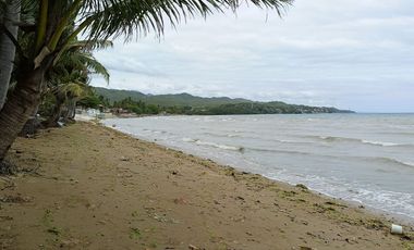 1.5 Hectares Beach Lot For Sale in Carmen, Cebu