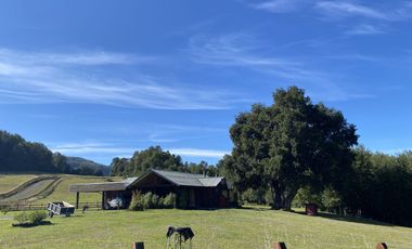 Z O N A S U R . C L En venta terreno de 5000m2 en sector Mirador del Lago. Villarrica.