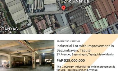 Industrial Lot for Sale in Bagumbayan,Taguig