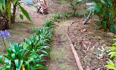 Finca de recreo en Venta Santa Elena Rionegro.