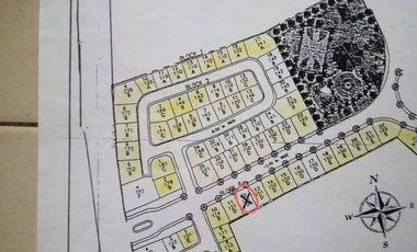 Lot for Sale at Filinvest Homes Tagum Davao del Norte
