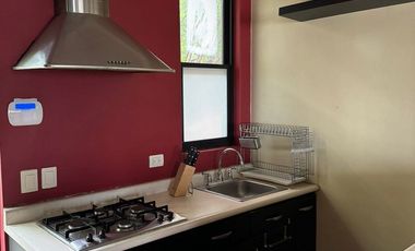 DEPARTAMENTO EN RENTA  EN SAN JERONIMO