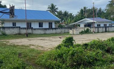 Commercial Lot for Rent located in Bolod, Panglao Island, Bohol