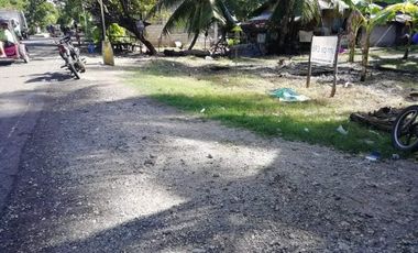 For Sale Commercial/Residential with beach front in Oslob, Cebu