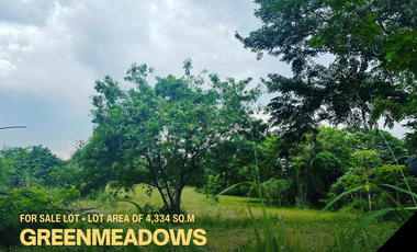 Green Meadows Agricultural Land, with Lot Area of 4,334 SQM, Quezon City For Sale