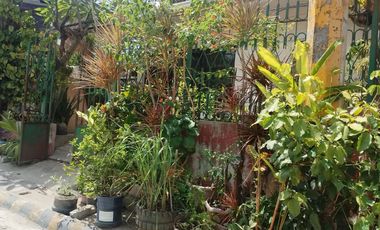 For Sale One Storey House and Lot in Camella, Talisay, Cebu