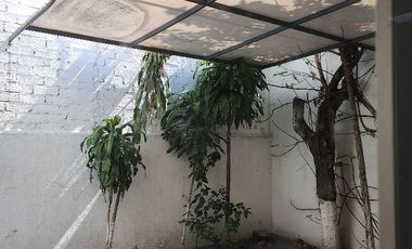 LOCAL / OFICINAS (Coorporativas, administrativas, comerciales, educativas, consultorios, etc.) / Edificio /---  COMERCIALES EN RENTA EN BERNARDO QUINT