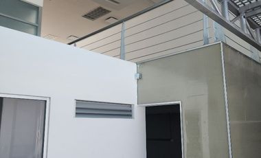 LOCAL / OFICINAS (Coorporativas, administrativas, comerciales, educativas, consultorios, etc.) / Edificio /---  COMERCIALES EN RENTA EN BERNARDO QUINT