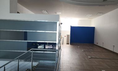 LOCAL / OFICINAS (Coorporativas, administrativas, comerciales, educativas, consultorios, etc.) / Edificio /---  COMERCIALES EN RENTA EN BERNARDO QUINT