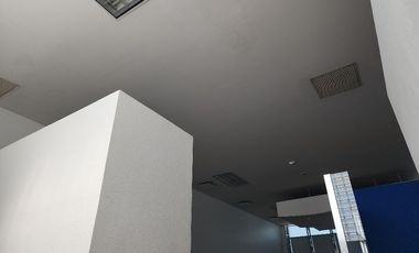 LOCAL / OFICINAS (Coorporativas, administrativas, comerciales, educativas, consultorios, etc.) / Edificio /---  COMERCIALES EN RENTA EN BERNARDO QUINT