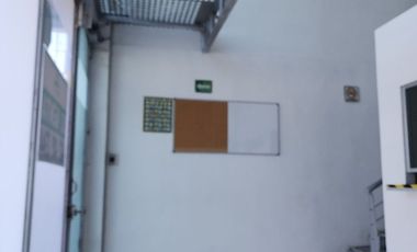 LOCAL / OFICINAS (Coorporativas, administrativas, comerciales, educativas, consultorios, etc.) / Edificio /---  COMERCIALES EN RENTA EN BERNARDO QUINT