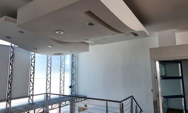 LOCAL / OFICINAS (Coorporativas, administrativas, comerciales, educativas, consultorios, etc.) / Edificio /---  COMERCIALES EN RENTA EN BERNARDO QUINT