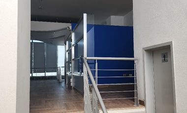 LOCAL / OFICINAS (Coorporativas, administrativas, comerciales, educativas, consultorios, etc.) / Edificio /---  COMERCIALES EN RENTA EN BERNARDO QUINT