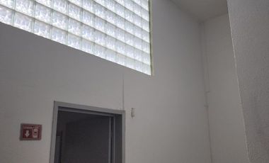 LOCAL / OFICINAS (Coorporativas, administrativas, comerciales, educativas, consultorios, etc.) / Edificio /---  COMERCIALES EN RENTA EN BERNARDO QUINT