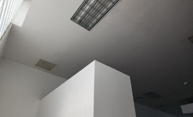LOCAL / OFICINAS (Coorporativas, administrativas, comerciales, educativas, consultorios, etc.) / Edificio /---  COMERCIALES EN RENTA EN BERNARDO QUINT