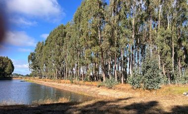 PARCELA, CONDOMINIO ALTO FRUTILLAR, FRUTILLAR