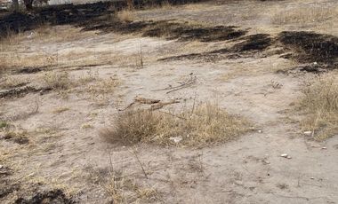VENTA TERRENO SAN MIGUEL CONTLA, SANTA CRUZ TLAXCALA ATRAS UNIVERSIDAD METROPOLITANA APIZACO