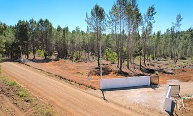 PARCELAS PARRAL 5000M2, AGUA POTABLE Y LUZ