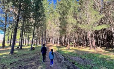 PARCELAS PARRAL 5000M2, AGUA POTABLE Y LUZ
