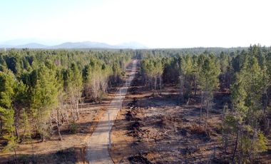 PARCELAS PARRAL 5000M2, AGUA POTABLE Y LUZ
