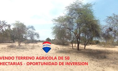 ID 1035055 Venta Terreno Agricola - Oportunidad De Inversion - JPinedo