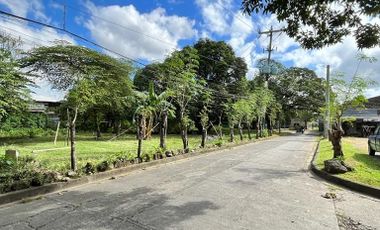 AS - FOR SALE: 19,401 sqm Warehouse Compound in Cainta, Rizal